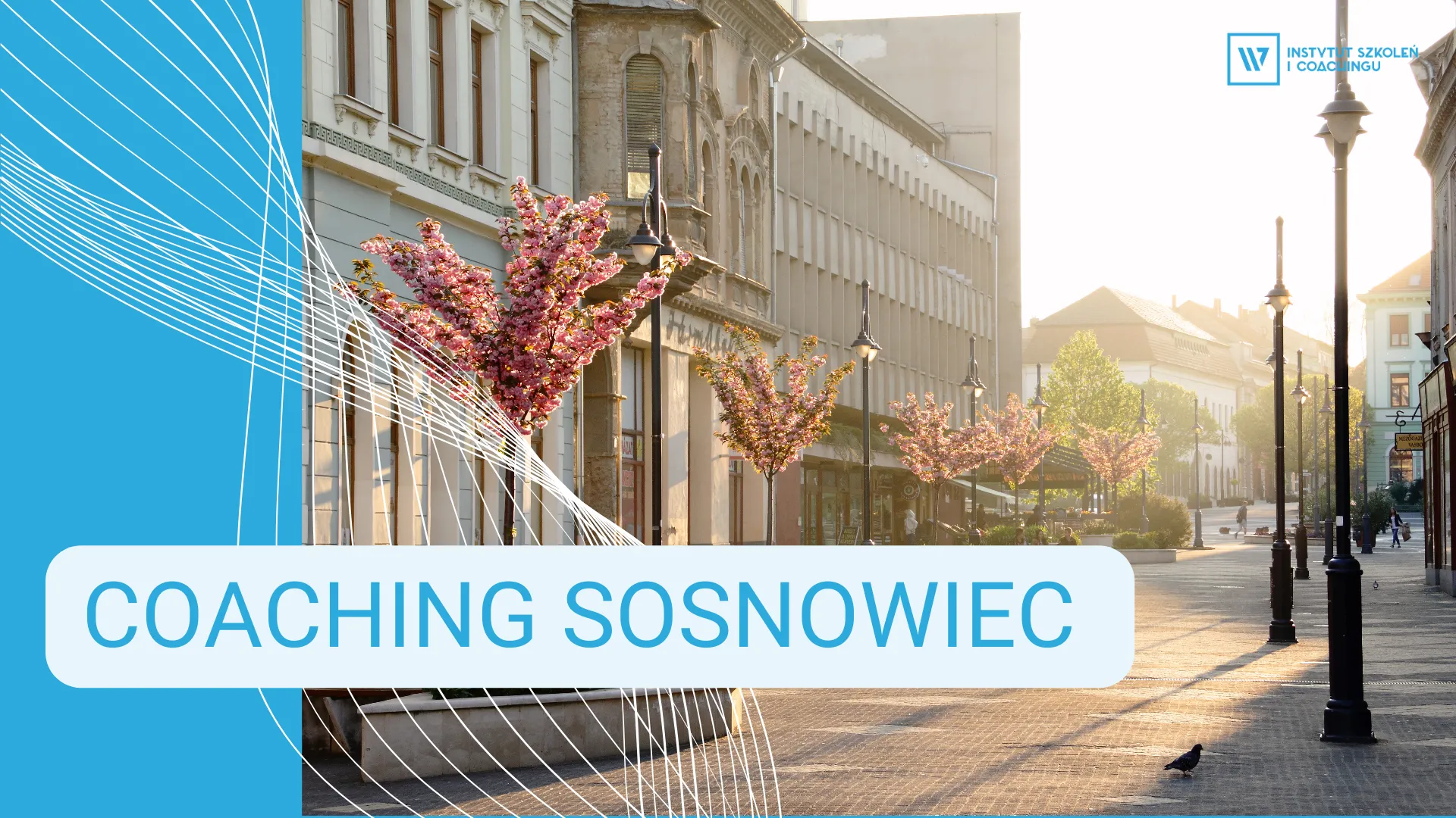 Coaching Sosnowiec