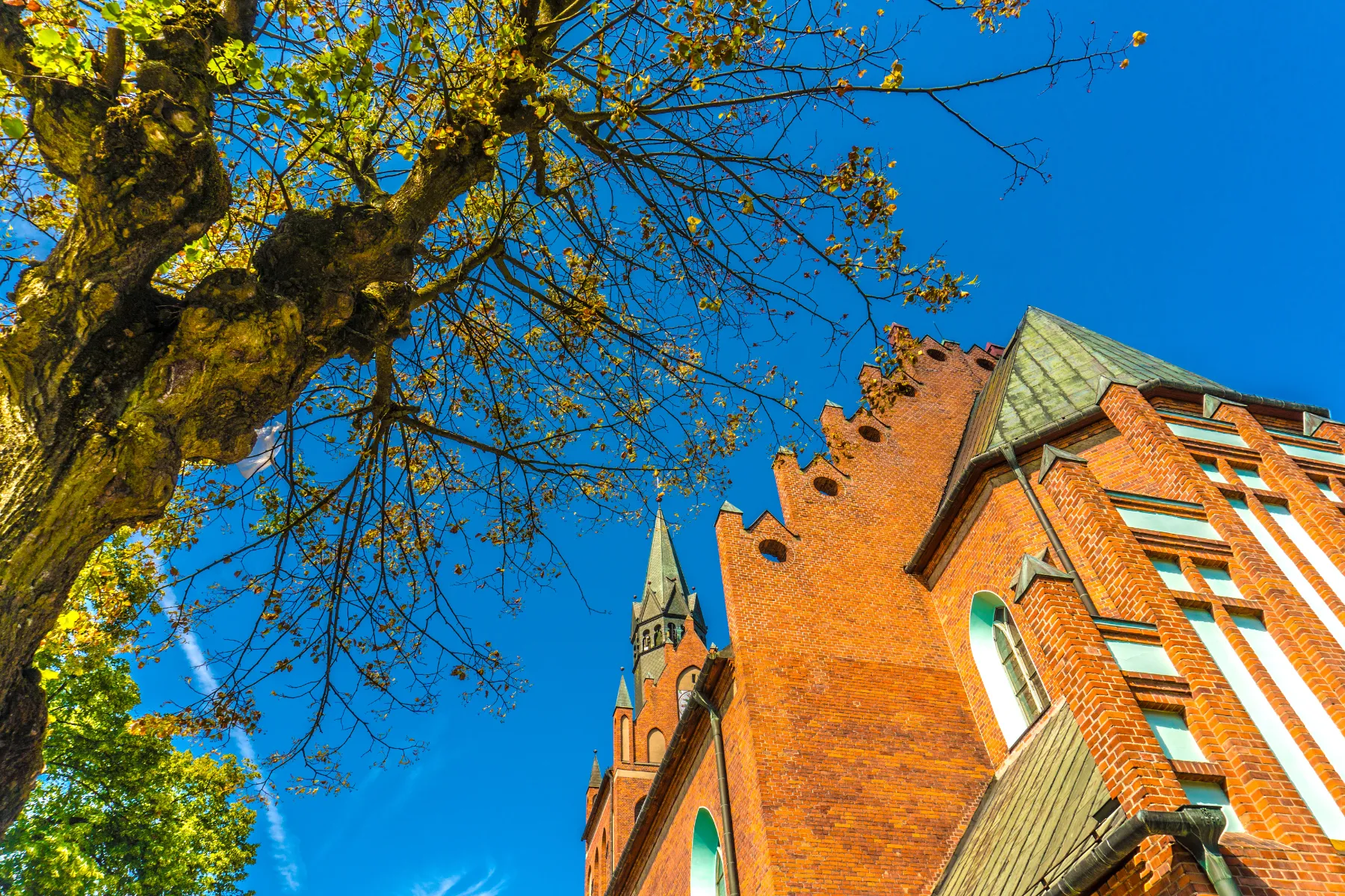 Szkolenia Ełk – Instytut Szkoleń i Coachingu